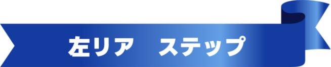 左リア　ステップ