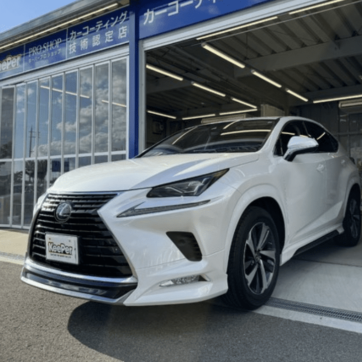 輸入車・高級車施工例