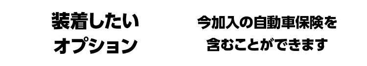 装着したいオプション　今加入の自動車保険を含むことができます